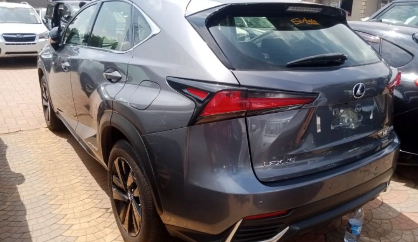 Lexus NX300h