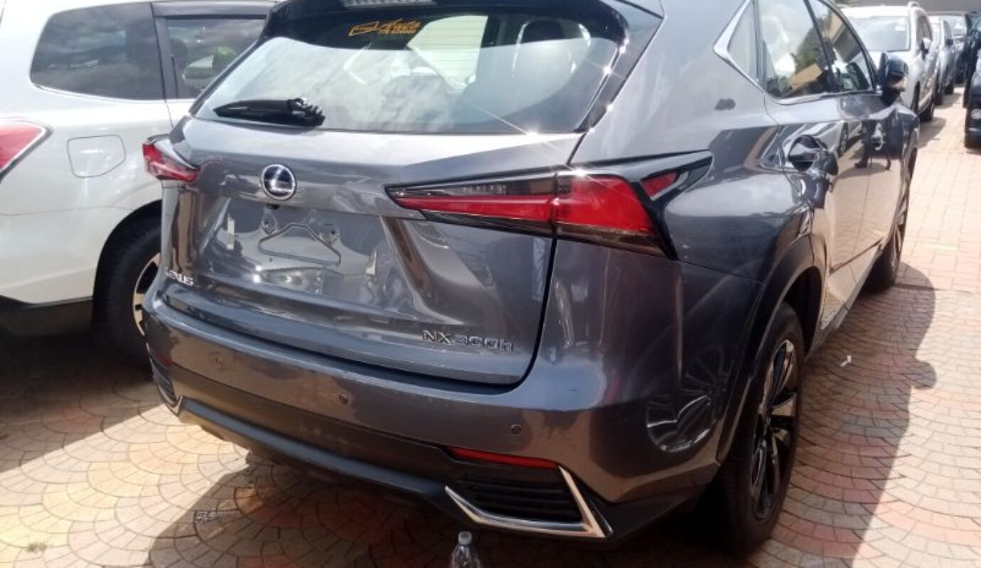 Lexus NX300h