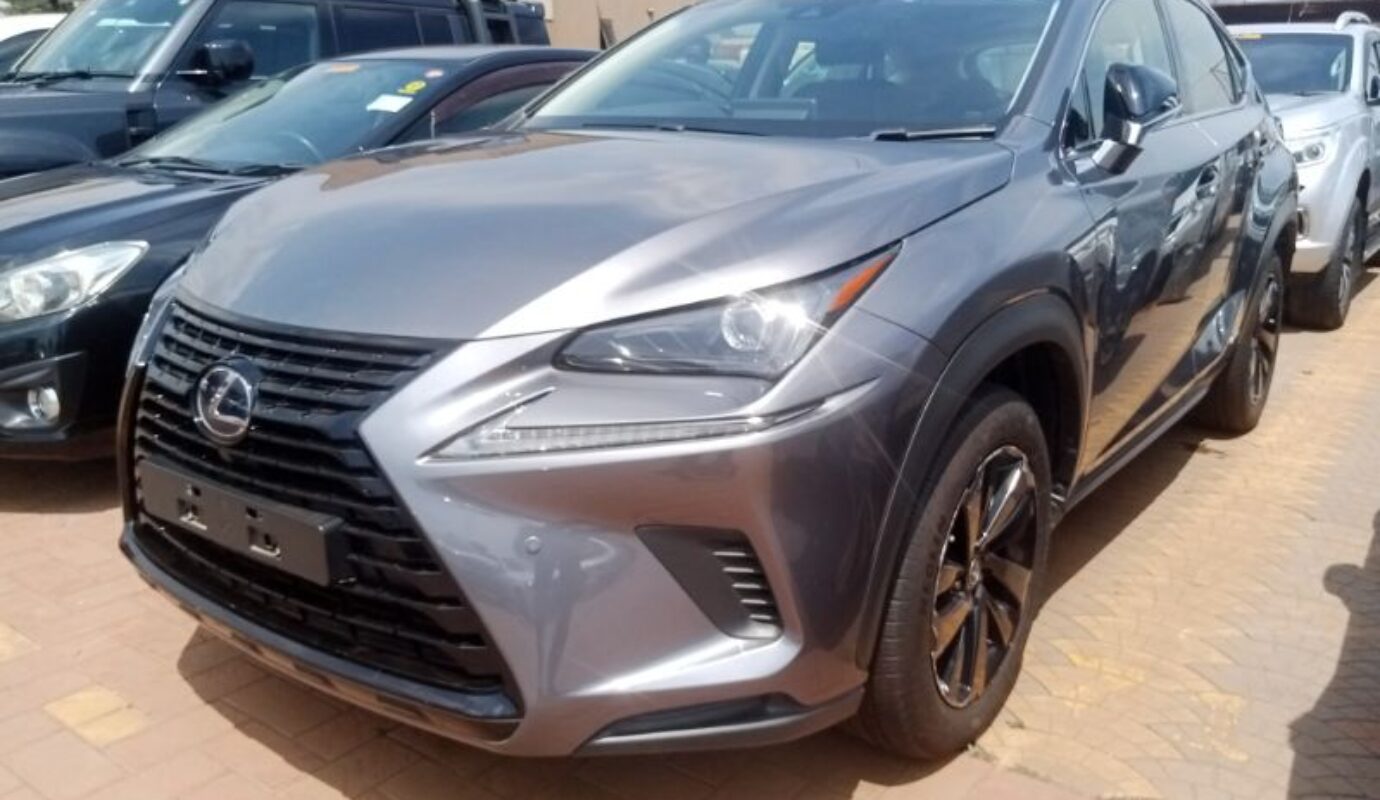 Lexus NX300h
